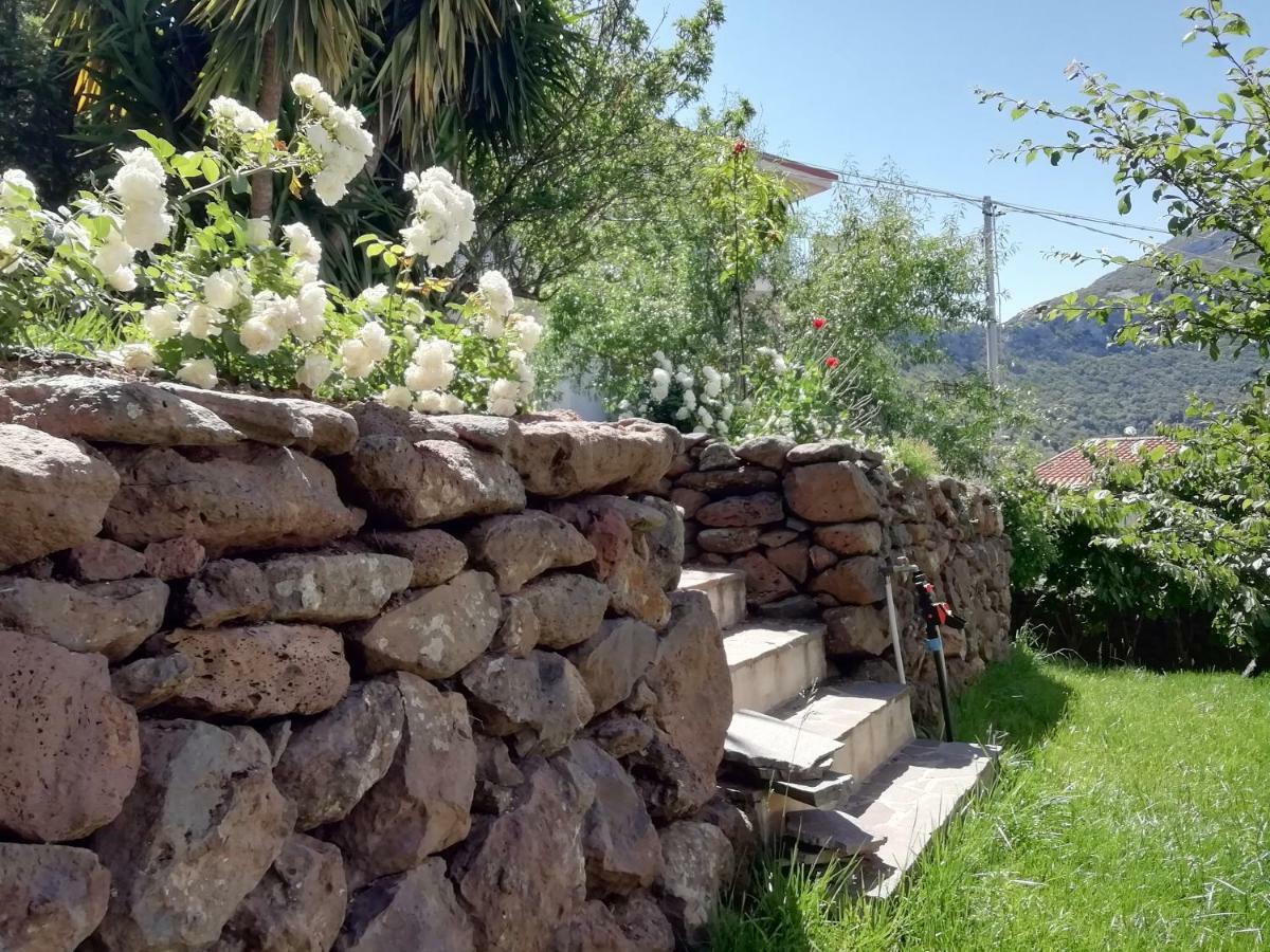 Casa Vacanze Villa Rosetta Dorgali Ngoại thất bức ảnh